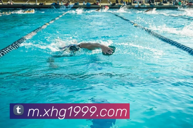 数据分析功能